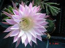 DSC00204