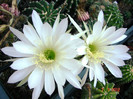 DSC00209