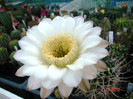 DSC00210