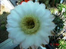 DSC00214