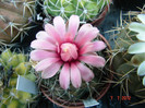 DSC00220