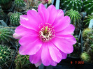 DSC00226