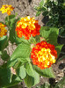 2012-07-10 11.13.32
