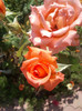 2012-07-09 10.59.11