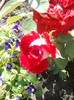 2012-07-09 10.58.00
