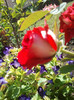 2012-07-09 10.58.07