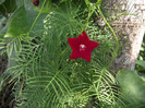 DSCF7945