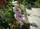 DSCN4084