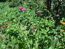 DSCN4118