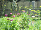 DSCN4119