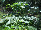 DSCN4122
