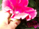 11,07.2012 009
