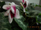 11,07.2012 024