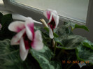 11,07.2012 025