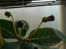 11,07.2012 027
