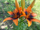 DSC03629