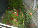 poze 1279