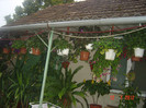 poze 1280