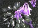 09-07-12_2104