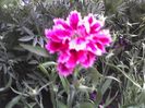 09-07-12_2107