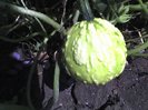 10-07-12_1115