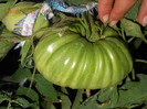DSCN1617