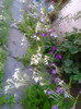 Photo0328
