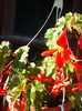 Photo0333
