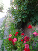 Photo0335