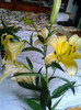 Photo0337