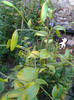 Photo0346