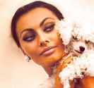 Sophia-Loren-sophia-loren-9066671-454-427