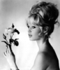 brigitte-bardot