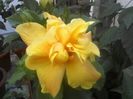 P10-07-12_09.48