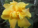 P10-07-12_09.48[1]