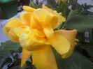 P10-07-12_09.48[2]