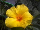 P12-07-12_15.41