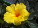 P12-07-12_15.41[1]