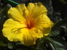 P12-07-12_15.41[2]