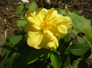 P1000978