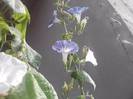P130712_07.52_[01]