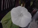 P130712_07.52_[05]