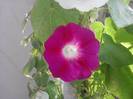 P130712_07.53_[01]