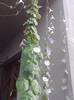 P130712_07.53_[03]