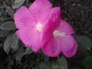 P130712_07.55_[01]