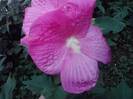 P130712_07.55_[02]
