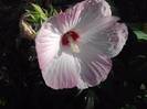 P130712_07.56_[01]