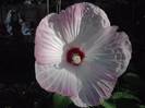 P130712_07.56_[03]