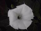 P130712_07.57_[02]