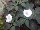 P130712_07.57_[03]